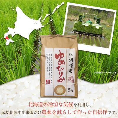 ふるさと納税 八雲町 【毎月定期便】【北海道八雲町熊石産】厳選ゆめぴりか 5kg(精白米)全4回 |  | 01