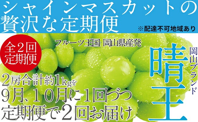 ぶどう 先行予約 【2回定期便】 シャイン マスカット 晴王 2房（合計約1kg） ブドウ 葡萄  岡山県産 国産 フルーツ 果物 ギフト デザート 食後 酸味が少ない 9月・10月にお届け ハレノフルーツ