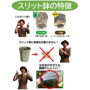 スリット鉢 6号 4色 カラーセット 植木鉢 植物 果樹 野菜 観賞用 園芸 花 カーメン君 兼弥産業 南知多 愛知 [配送不可地域：離島]