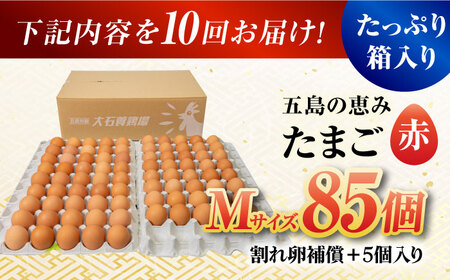 【10回定期便】【箱入り】五島の恵みたまご Mサイズ 85個入 / 卵 赤玉子 五島市 / 五島列島大石養鶏場[PFQ016]  玉子 タマゴ 鶏卵 希少 五島列島