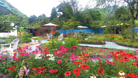 【ガーデンレストラン陶酔房一】国産黒毛和牛窯焼き サーロインステーキ 2名様 | チケット 食事券 ガーデン レストラン サーロイン ステーキ 兵庫県 上郡町