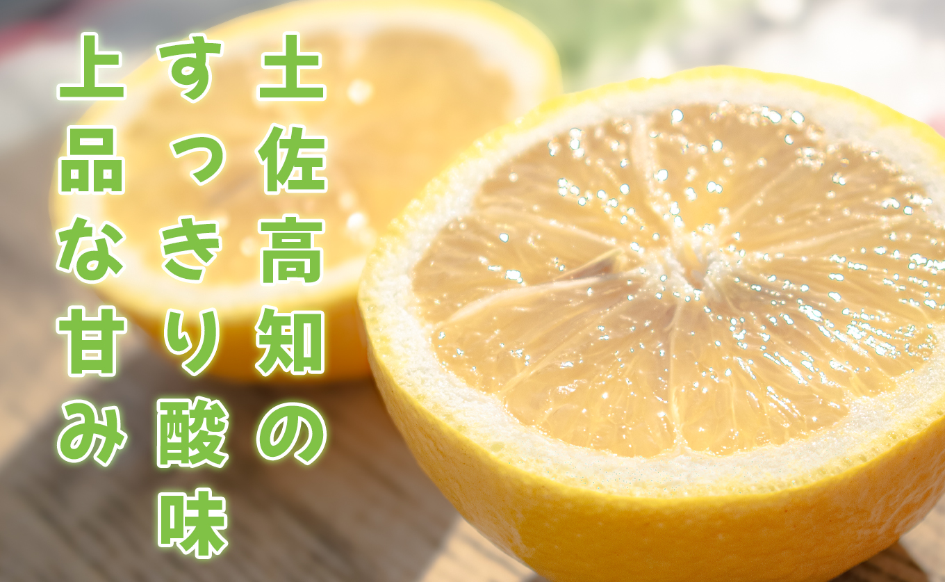 小夏 1.5kg 家庭用 日向夏 ニューサマーオレンジ 柑橘 みかん ノーワックス こなつ くだもの 果物 産直 旬の果物 お取り寄せ 産地直送 フルーツ 爽やか スッキリ 甘い 高知県 大月町産 コ