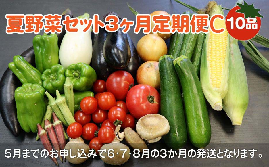 
            夏 野菜セット C 10品 以上【 3ヶ月 定期便 ※予約受付/ 2025年 6月発送開始】 季節 旬 野菜 詰合せ 岩手県 北上市 H0134 果菜 根菜 冷蔵 ダイエット 国産 季節限定 稀少 数量限定 とうもろこし ヤングコーン ブロッコリー レタス ズッキーニ ケール ブルーベリー きゅうり トマト ピーマン 玉ねぎ 大根 インゲン オクラ 枝豆 モロヘイヤ なす
          