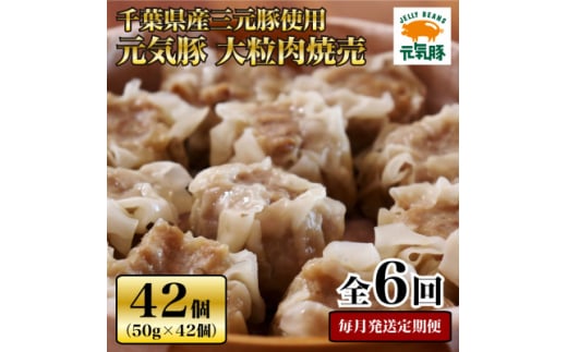 ＜毎月定期便＞元気豚 大粒肉焼売セット 42個セット(計2.1kg)全6回【4055282】