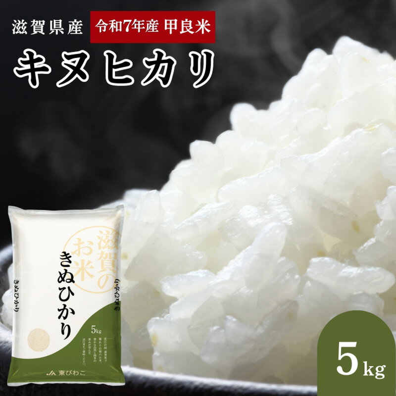 【ふるさと納税】【先行予約】令和7年産甲良米「キヌヒカリ」白米 5kg お米 こめ コメ おこめ 白米 キヌヒカリ 　お届け：2025年9月下旬より順次出荷