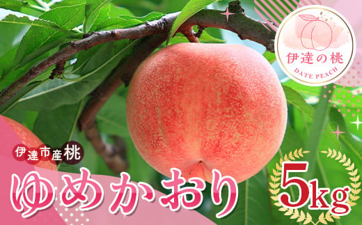 
            福島の桃 ゆめかおり 5kg 2025年9月中旬～2025年9月下旬 2025年出荷分 先行予約 予約 新品種 超大玉 大玉 固め 伊達の桃 桃 もも モモ 果物 くだもの フルーツ 国産 食品 F20C-838
          