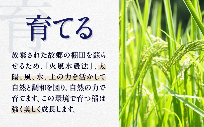 【12月下旬より順次発送】【限定2400本】TERROIR LAB 大洲・神南乃酒(かんなんのさけ) 375ml×3本 愛媛県大洲市/酒乃さわだ 大洲 日本酒 清酒 地酒 [AGDU003]