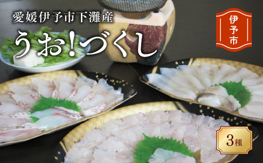 刺身 冷凍 鱧 鯛 イカ うお!づくし三種 鍋 しゃぶしゃぶ 天然 海鮮 魚介 産地直送 伊予市 愛媛県産 国産 下灘 |B103