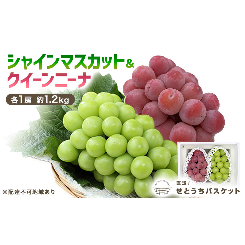 ぶどう 2025年 先行予約 シャインマスカット＆クイーンニーナ  各1房 約1.2kg ブドウ 葡萄 岡山県産 国産 フルーツ 果物 直送！せとうちバスケット