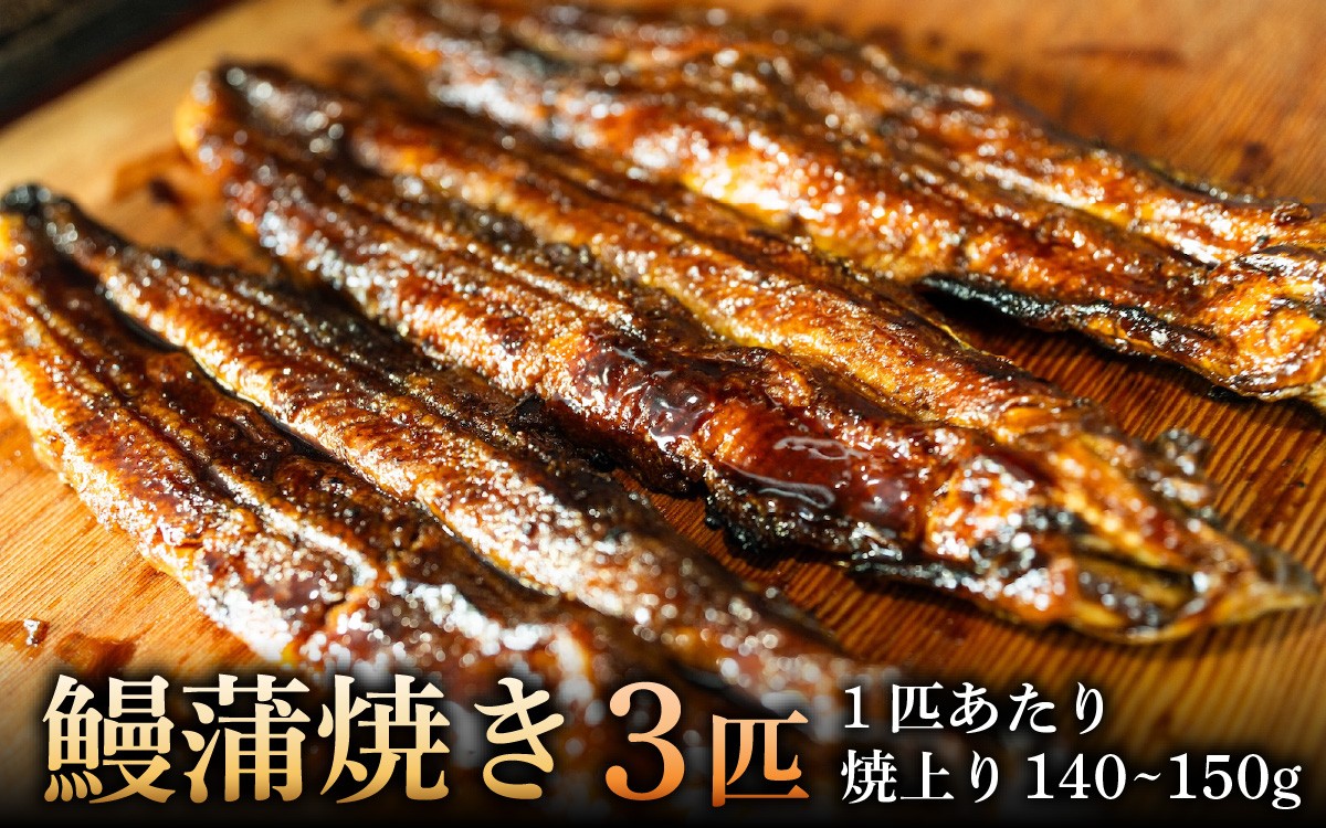 鰻蒲焼き　3匹　焼上り140～150g/匹 [RS003] / 鰻 うなぎ 国産鰻 国産うなぎ 鰻蒲焼 うなぎ蒲焼き