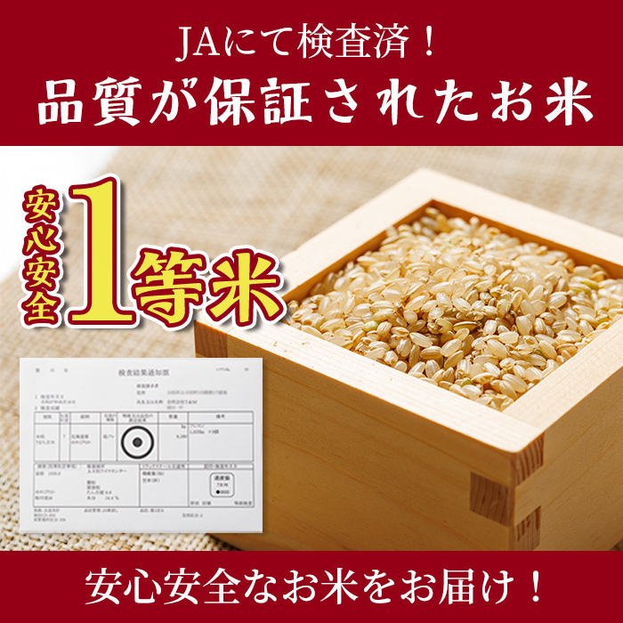 【B7137】新米！上士別清流米 ゆめぴりか 玄米 (5kg) 米 お米 玄米 北海道米 ごはん ゆめぴりか 北海道産 士別産 5kg 新米 【合同会社T&M】