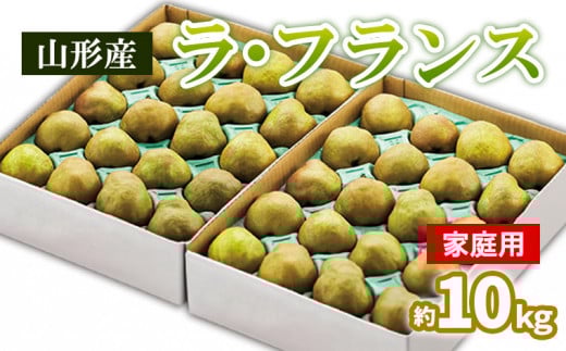 山形のラ・フランス ご家庭用 約10kg(5kg×2箱) 24～48個　 FY25-829