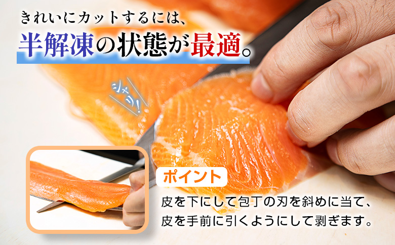 サーモン 山育ち 芸北サーモン フィレ （約600g）
