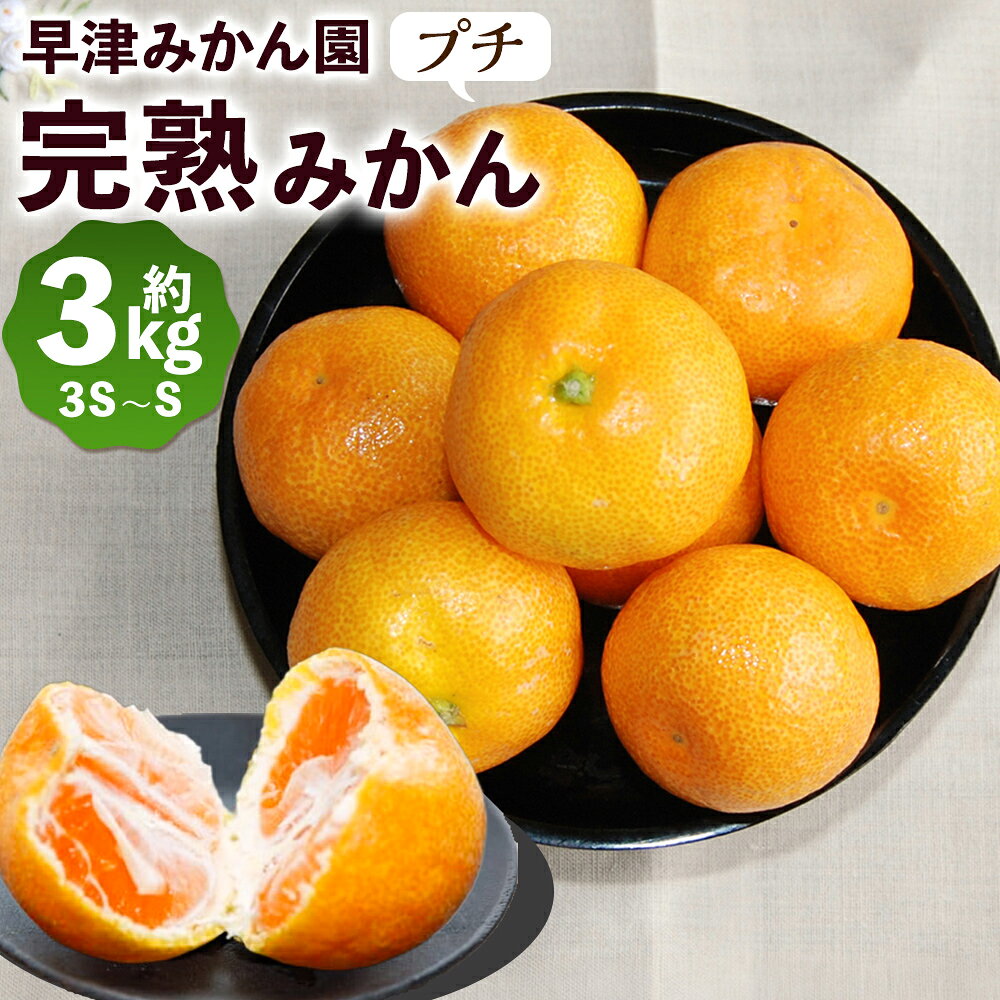 【ふるさと納税】L102x1　早津みかん園の完熟プチみかん3kg　みかん ミカン 蜜柑 温州みかん 完熟みかん 甘熟 柑橘 有機栽培 国産 佐賀県産 太良町 こだわり 贈答品 産地直送 詰め合わせ 極甘 小玉 【2026年10月下旬～2026年11月下旬発送予定】