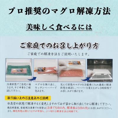 ふるさと納税 むつ市 津軽海峡産マグロ　赤身ブツ切　200g |  | 03