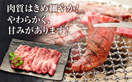 蓼科牛バラ焼肉120g×4　　
