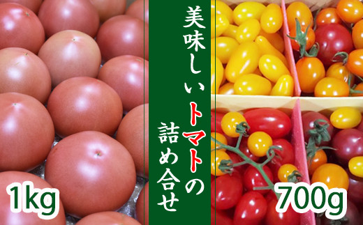 【7月上旬発送開始予定】 岩手県産 こだわりトマト詰め合せセット（大玉1kg／ミニトマト700g） ／ 大玉 とまと トマト ミニトマト ミディトマト 新鮮 サラダ トマトジュース 夏野菜 旬 期間限定 季節限定 野菜 お野菜 産地直送 農家直送 美味しい おいしい 八幡平市産 おすすめ 【田村和大】