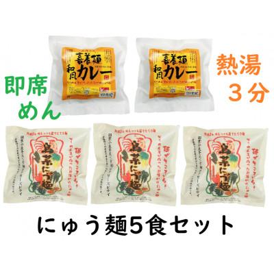 ふるさと納税 天理市 鳥菜にゅうめん・和風カレー喜養麺　5食セット(天理市・東吉野村共通返礼品)