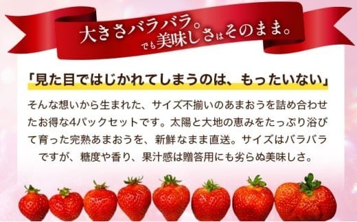 福岡県産 特別栽培 あまおう サイズいろいろMIX 約1140g（約285g×4パック）【3月発送】| 農園直送 アフター保証 先行予約 福岡産 送料無料 ケーキ ギフト お祝い 限定 季節限定 UN