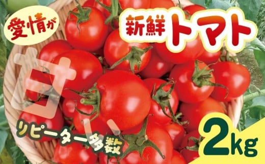 安田町産 愛情たっぷり新鮮トマト2kg 先行受付 完熟 トマト 高知県産 2kg 産地直送 新鮮 もぎたて 人気 野菜 とまと 栄養 ヘルシー 年末年始 クリスマス プレゼント 高知 安田町