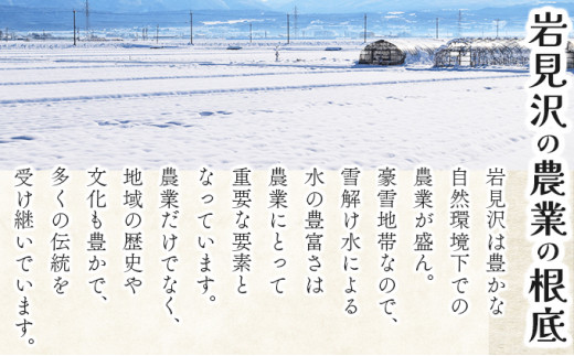 ＜令和8年産＞『100%自家生産玄米』善生さんの自慢の米 玄米ななつぼし 10kg｜北海道 岩見沢市 お米 新米【a104-116】