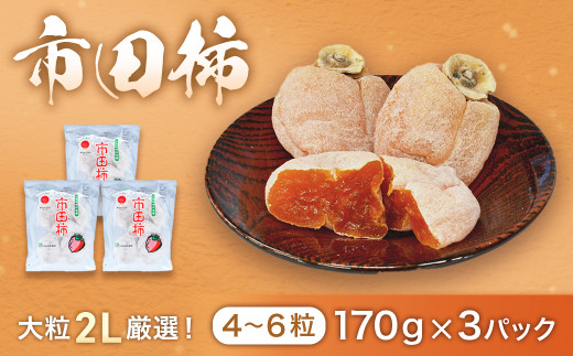 市田柿 (大粒2Lのみ厳選) 約170g×3パック　※2027年1月～発送予定※　干し柿｜カキ｜果物｜フルーツ｜長野県産｜南信州