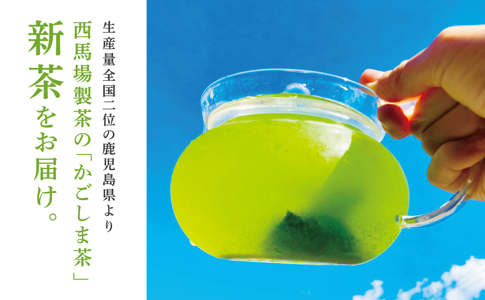 【新茶】＜5月から出荷開始＞鹿児島茶「金峰山 白銀」粉末緑茶＆ティーパックセット 贈答用 ギフト 贈答 鹿児島県産 かごしま お茶 冷茶 水出し ティーバッグ 日本茶 緑茶 茶葉 南さつま市