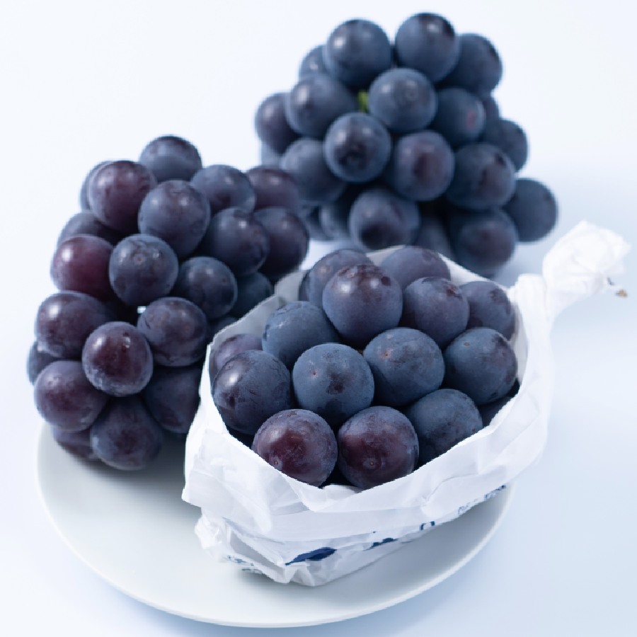 ＜福岡八女産黒木＞巨峰２ｋｇ