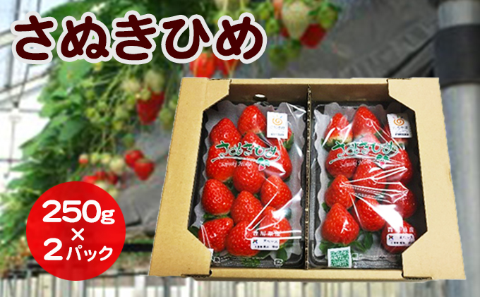 いちご さぬきひめ DXパック 500g (250g×2パック) 香川県産 苺 イチゴ フルーツ 果物 くだもの 旬のフルーツ 旬の果物 大粒 香川 香川県 東かがわ市