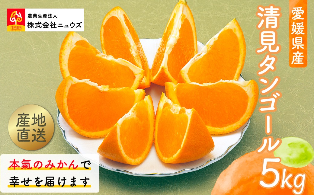 【先行予約】産地直送！愛媛県産清見タンゴール 5kg（2027年2月上旬より順次発送） IKTF022