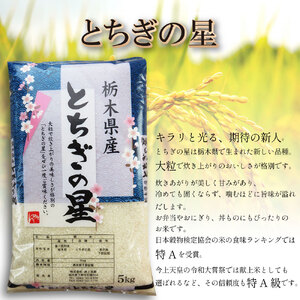【栃木県共通返礼品】【令和7年度新米先行予約】栃木県産とちぎの星 15kg |定期便 選べる 10月発送 11月発送 12月発送 ふるさと 納税 とちぎの星 お米 精米 白米 玄米 大粒 共通返礼品 