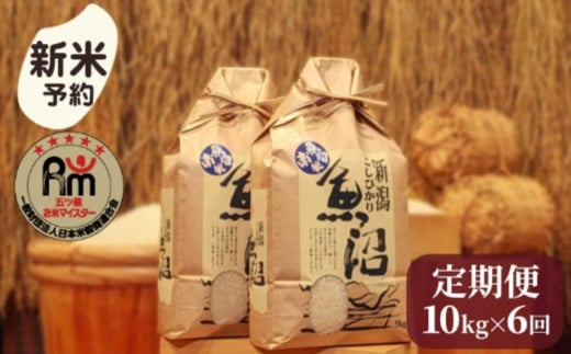 
            【新米予約】令和７年産「五つ星お米マイスター」の南魚沼産コシヒカリ　精米10kg（５kg×２個）×６回（毎月定期便）【2025年10月上旬より順次発送予定】
          