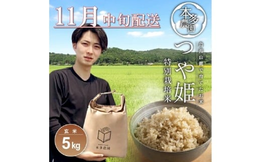 11月中旬配送／令和7年産【玄米】特別栽培米 つや姫　5kg 農家直送 HO SB0739