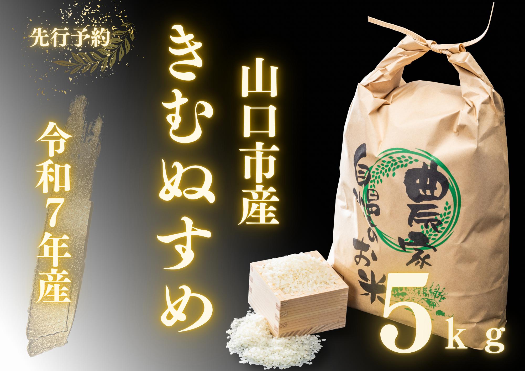 
            D395 農家直送！山口市産新米「きぬむすめ」精米5kg
          