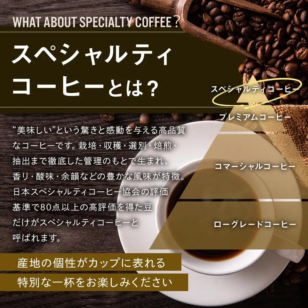 【AMANO COFFEE ROASTERS】スペシャリティコーヒー 上賀茂ブレンド100g 今宮ブレンド100g＜粉タイプ＞｜京都 コーヒー 人気ブランド