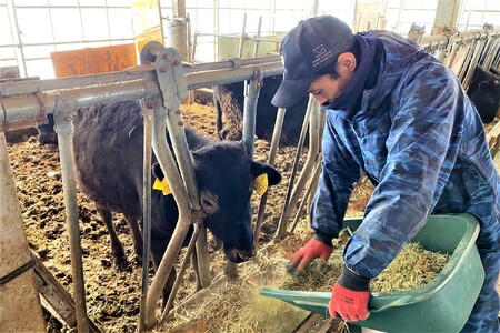 千屋牛 いろり牛 経産牛 上カルビ 焼肉食べ比べセット (千屋牛約600g+いろり牛約600g)