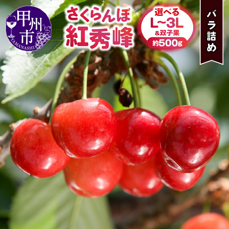 【ふるさと納税】 さくらんぼ 紅秀峰 バラ詰め 約500g 選べる大きさ L~3L サイズ 甲州市産 果物 チェリー くだもの 完熟 大粒 中粒 フルーツ 高糖度 さくらんぼ童夢 双子果 バラ詰 家庭用 山梨県産 旬 人気 ギフト 贈答用 【 2025年発送 】 (DOM)