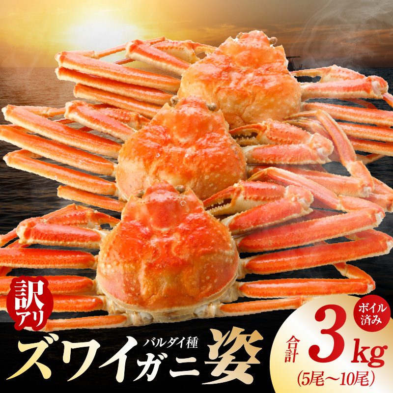 【訳あり規格】バルダイ種 ズワイガニ姿 3kg（5～10尾）【ボイル済み オオズワイガニ かに カニ 蟹 ズワイガニ ファミリー向け】 G3183