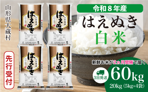 ＜令和8年産米先行受付＞  はえぬき 【白米】60kg定期便(20kg×3回） 山形県大蔵村 配送時期指定できます！