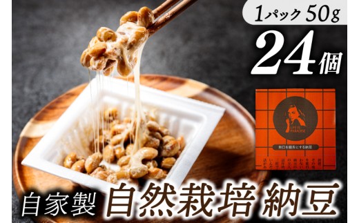 KW-9　自然栽培納豆　納豆の聖地「金砂郷」の職人ひとつひとつ仕込む甘味と旨味の際立つ鹿嶋在来大豆納豆