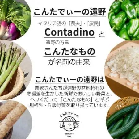 【発送月固定定期便】偶数月発送 旬のとれたて野菜セット(5～7品)ライトサイズ全6回【配送不可地域：離島】【4066187】