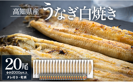 白焼き 鰻 国産 2kg以上 20尾×100～120g 鰻 大容量 数量限定 - 蒲焼き タレ付き 国産 鰻 ウナギ 有頭 背開き つまみ ご飯のお供 老舗 土佐湾 吉川水産 高知県 香南市 冷凍 yw-0083