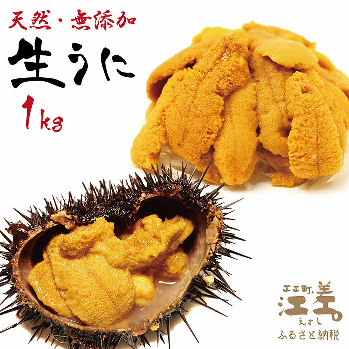 北海道 江差前浜産 生うに たっぷり 1kg（100g×10パック）【無添加・みょうばん不使用】江差産天然キタムラサキウニ　日本海熊石産海洋深層水　塩水ウニ　素材を生かした自然の味　国産うに　雲丹　100グラムパック個包装