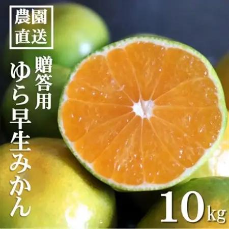 【先行受付】和歌山産　ゆら早生みかん　贈答用　秀品　約10kg箱入り　2S～2Lサイズ【1482415】