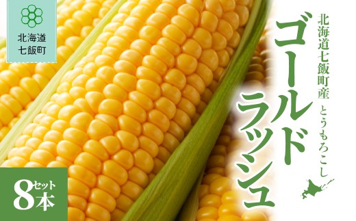 【先行予約】北海道七飯町産とうもろこし 「ゴールドラッシュ」8本セット(令和8年8月上旬頃より順次発送) 【 ふるさと納税 人気 ランキング とうもろこし ゴールドラッシュ コーン 8本 セット 北海道 七飯町 送料無料 】 NABU005