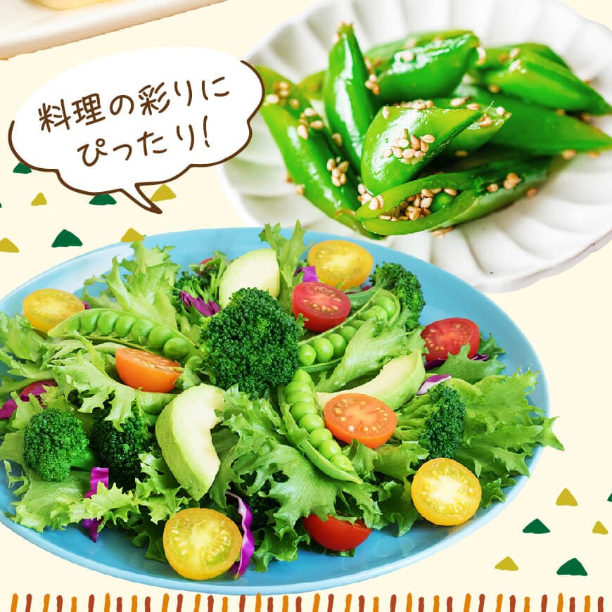 【令和8年発送】宮崎県産　スナップエンドウ1.0kg 【 野菜 宮崎県産 川南町産 野菜 産地直送 新鮮 数量限定 】