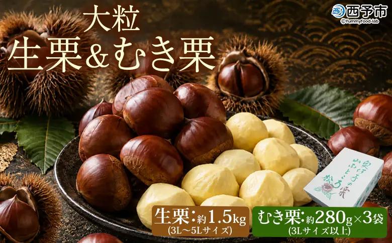 ＜大粒生栗＆むき栗 合計約2.34kg＞『9月上旬から順次出荷予定』 和栗 生栗 くり おおつぶ 大きい 甘い 新鮮 栗ごはん 栗きんとん 剥き栗 甘露煮 旬 国産栗 お取り寄せ 旬 特産品 国産 秋の味覚 真空パック 長期保存 食べ比べ おせち 小屋敷農園【冷蔵】SKN0004
