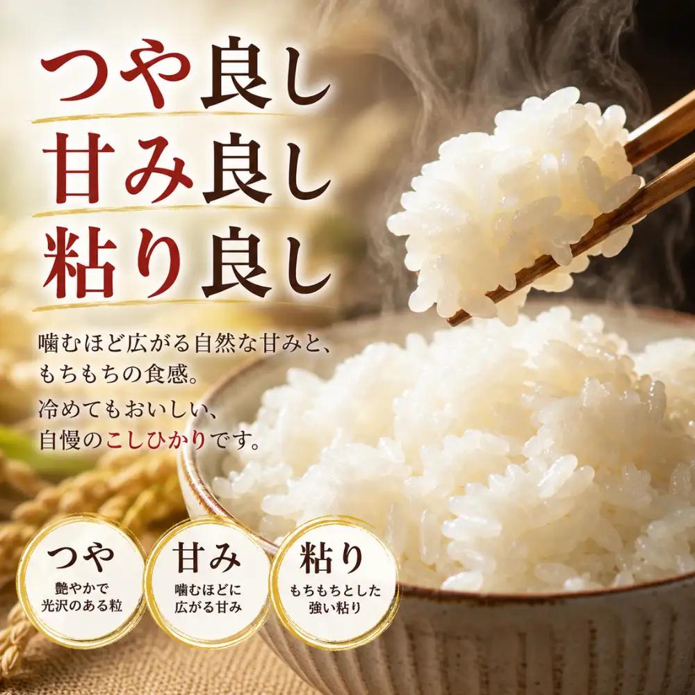 コシヒカリ 2キロ 1袋 / 国産 こしひかり  2キロ 令和7年 新米 米 お米 保存袋 生活必需品 ギフト 贈り物 お歳暮 ふるさと納税 送料無料