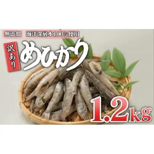 【 めひかり 】 めひかり干物1200g