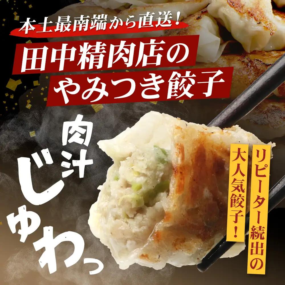 《リピーター続出！》佐多の田中肉屋 ニンニクたっぷりやみつき餃子 240個（12個入り×20パック） 餃子のタレ3本付き TA-2 | ぎょうざ 餃子 ギョウザ 豚肉 ひき肉 にんにく スタミナ餃子 